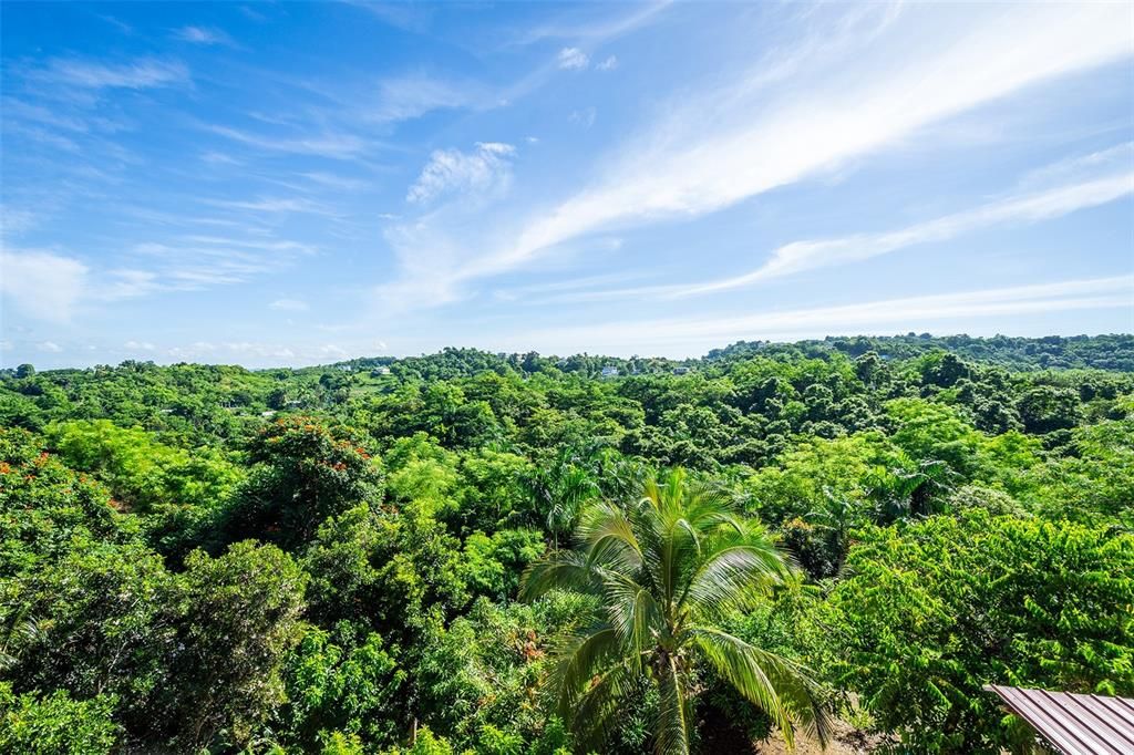 Panoramic view from balcony