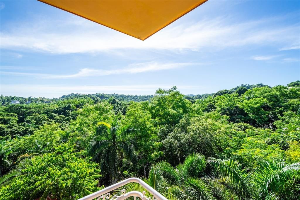 Panoramic view from balcony