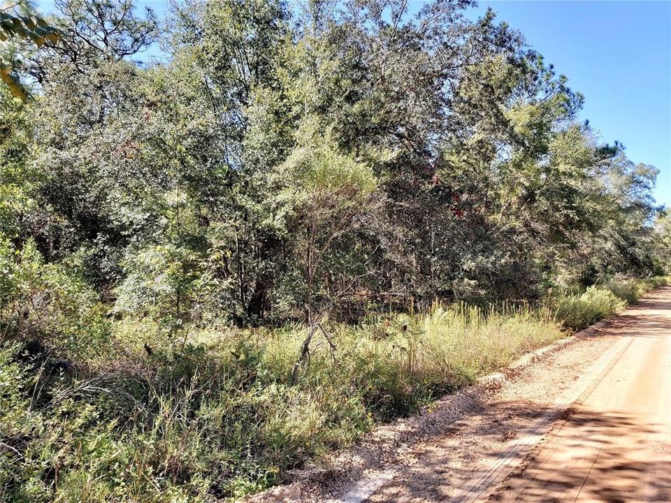 Recently Sold: $16,500 (1.13 acres)