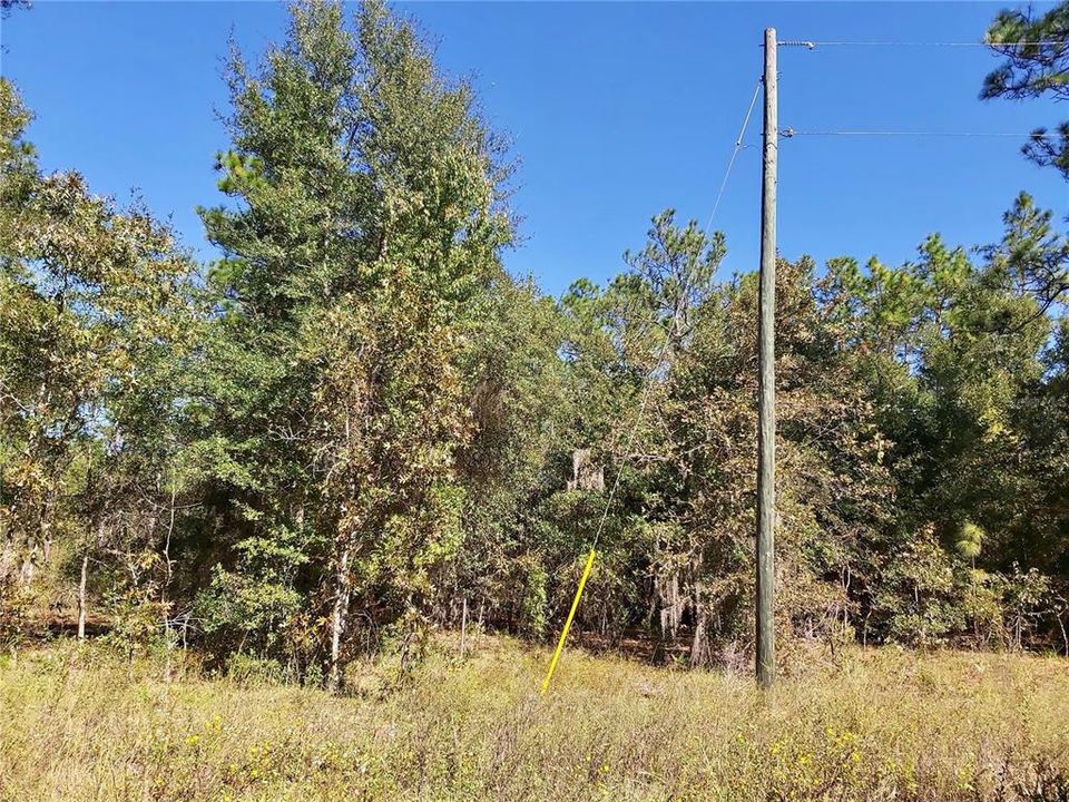 Recently Sold: $16,500 (1.13 acres)