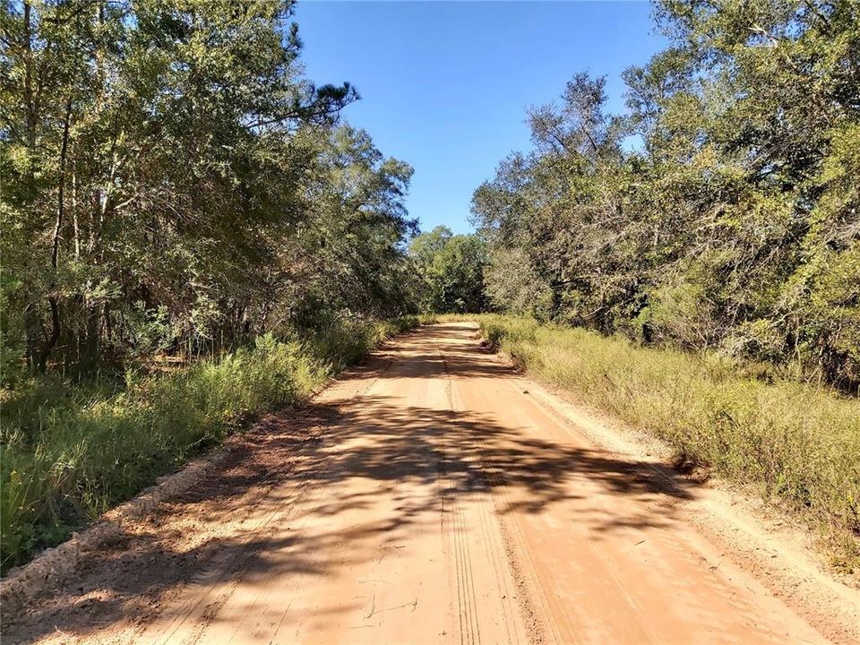 Recently Sold: $16,500 (1.13 acres)