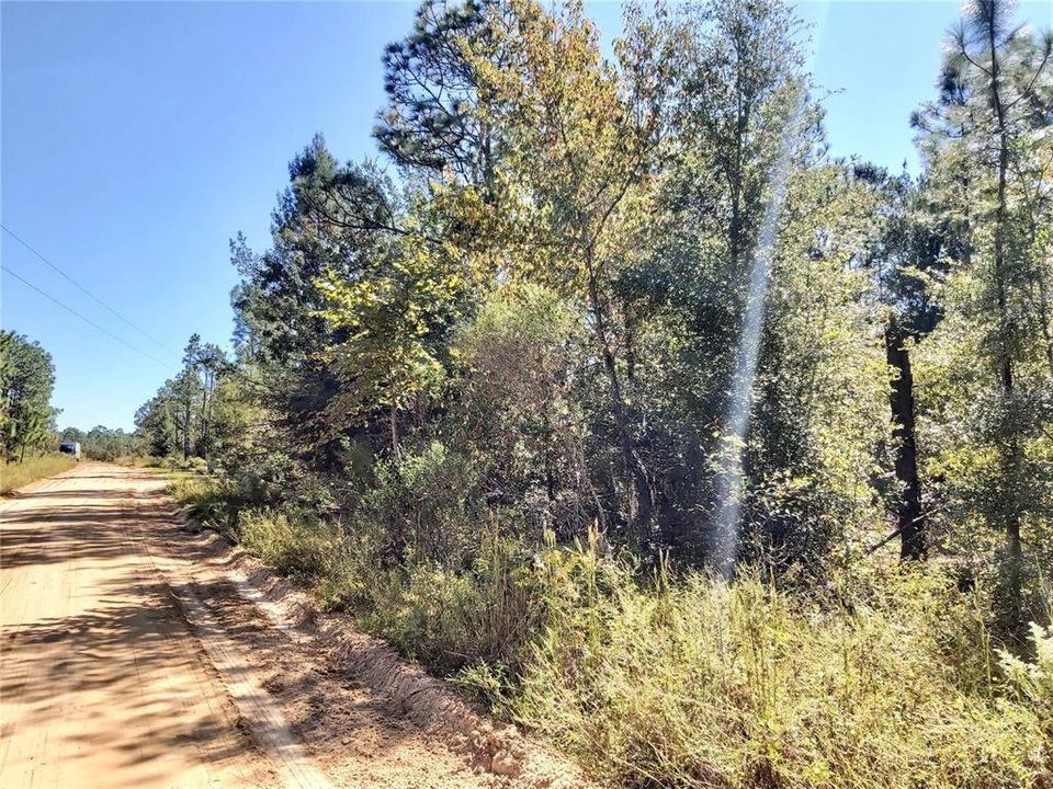 Recently Sold: $16,500 (1.13 acres)