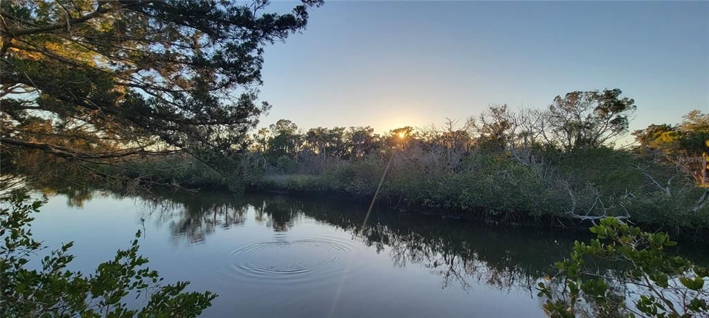 View from gazebo