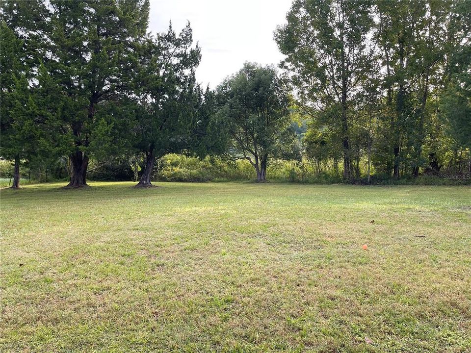 View of Backyard