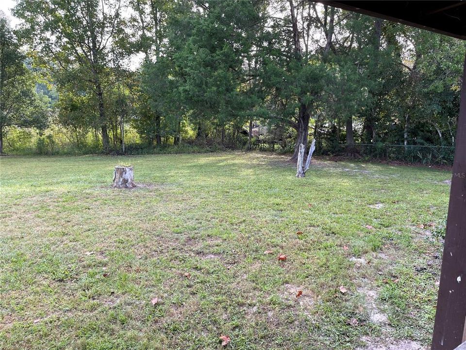 View of Backyard