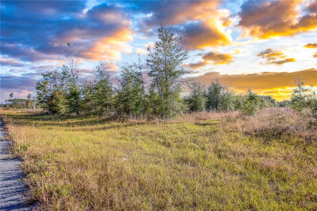Recently Sold: $75,000 (9.18 acres)