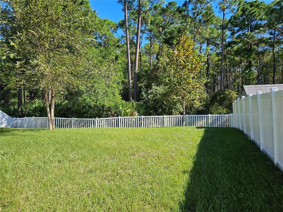 Fully fenced back yard