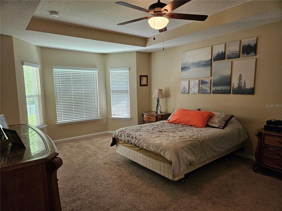 Large master bedroom with bay window and tray ceiling.