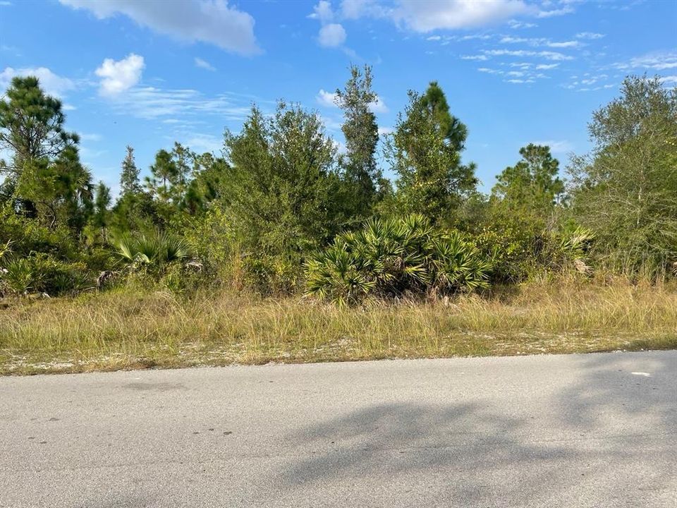 Active With Contract: $20,600 (0.25 acres)