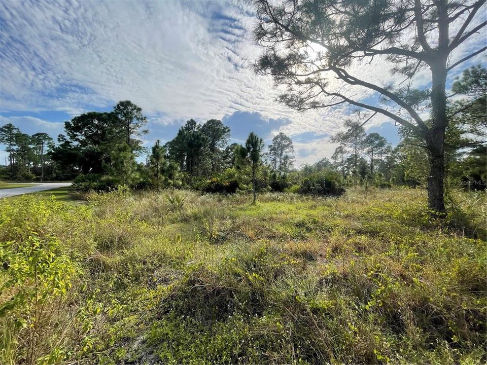 Active With Contract: $22,000 (0.30 acres)