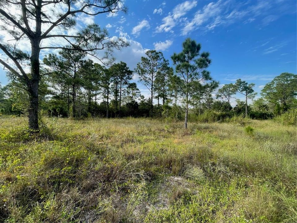 Active With Contract: $22,000 (0.30 acres)