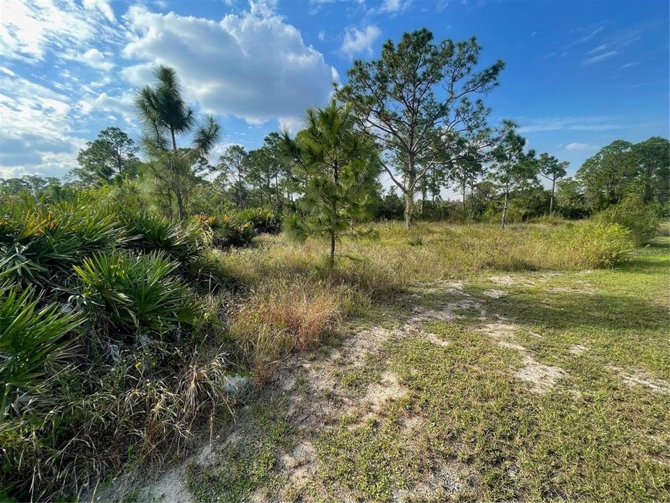 Active With Contract: $22,000 (0.30 acres)