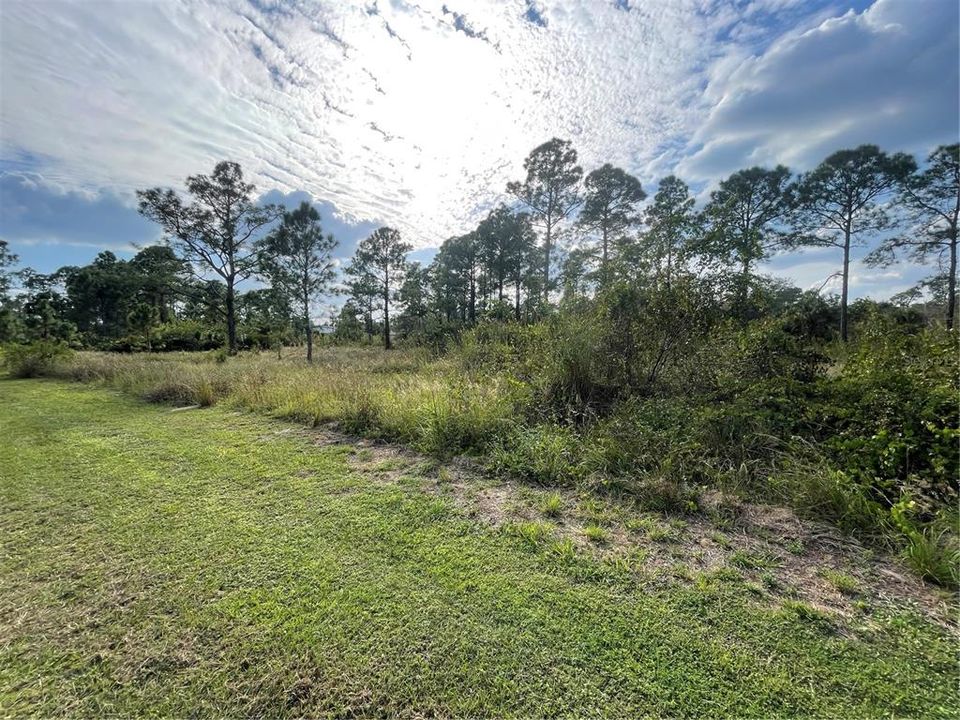 Active With Contract: $22,000 (0.30 acres)