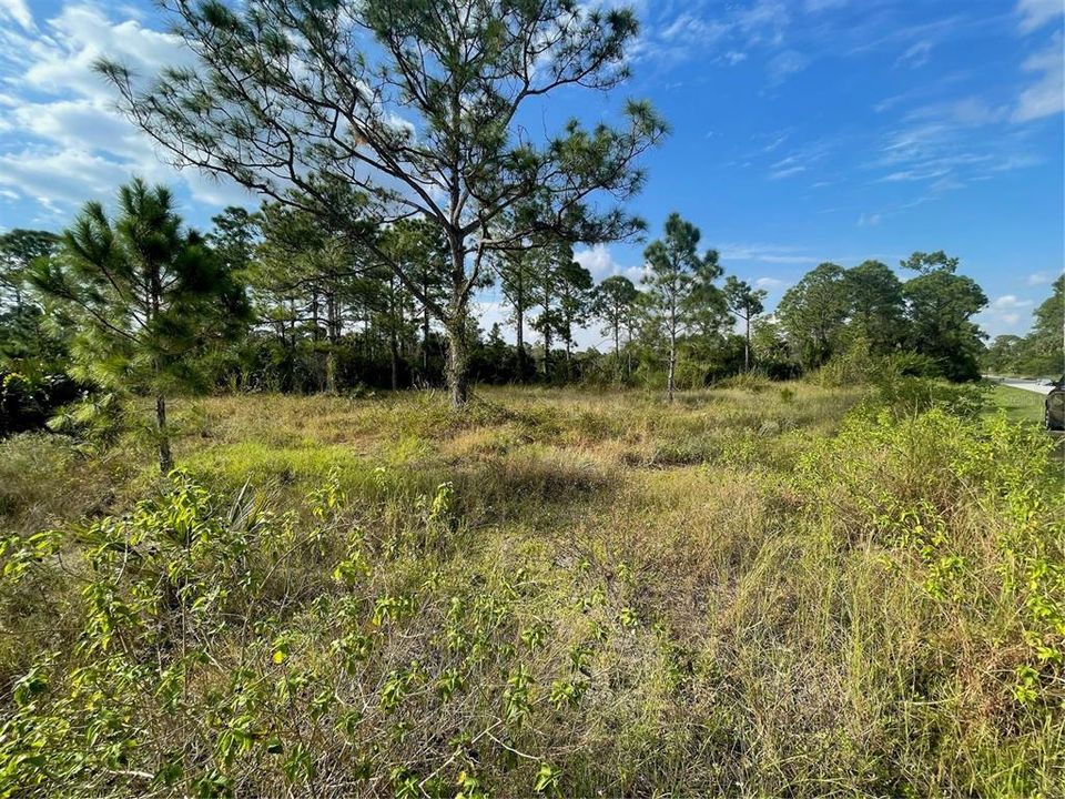 Active With Contract: $22,000 (0.30 acres)