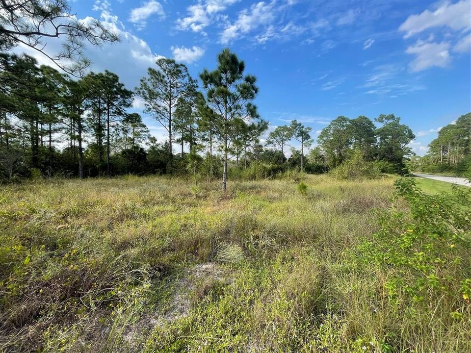 Active With Contract: $22,000 (0.30 acres)