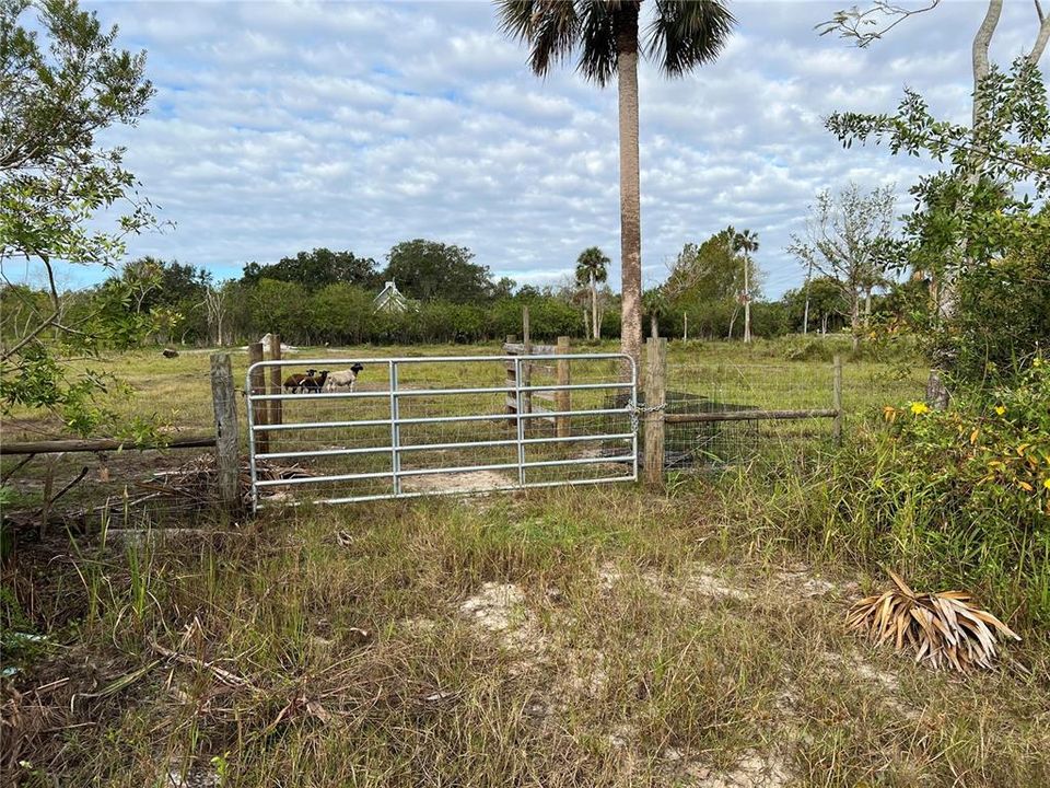Active With Contract: $199,000 (2.20 acres)