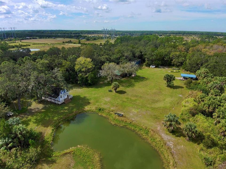 Freshwater Pond with Tilapia and Catfish