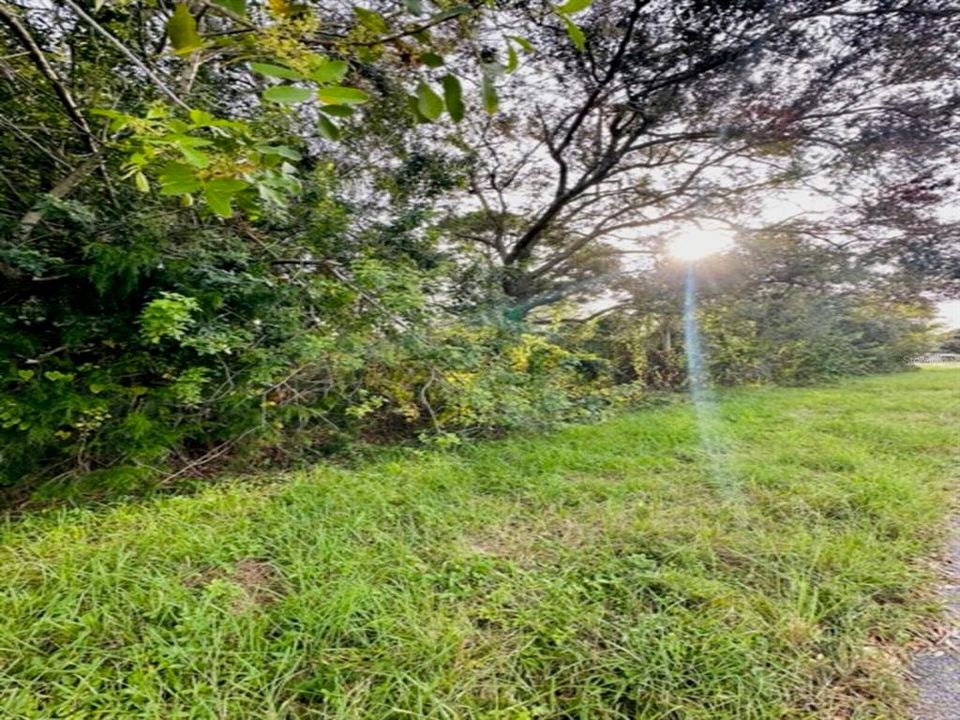 Vendido Recientemente: $17,500 (0.23 acres)