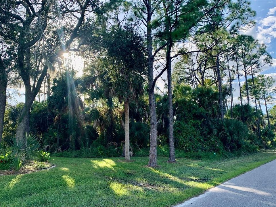 Недавно продано: $55,000 (0.46 acres)