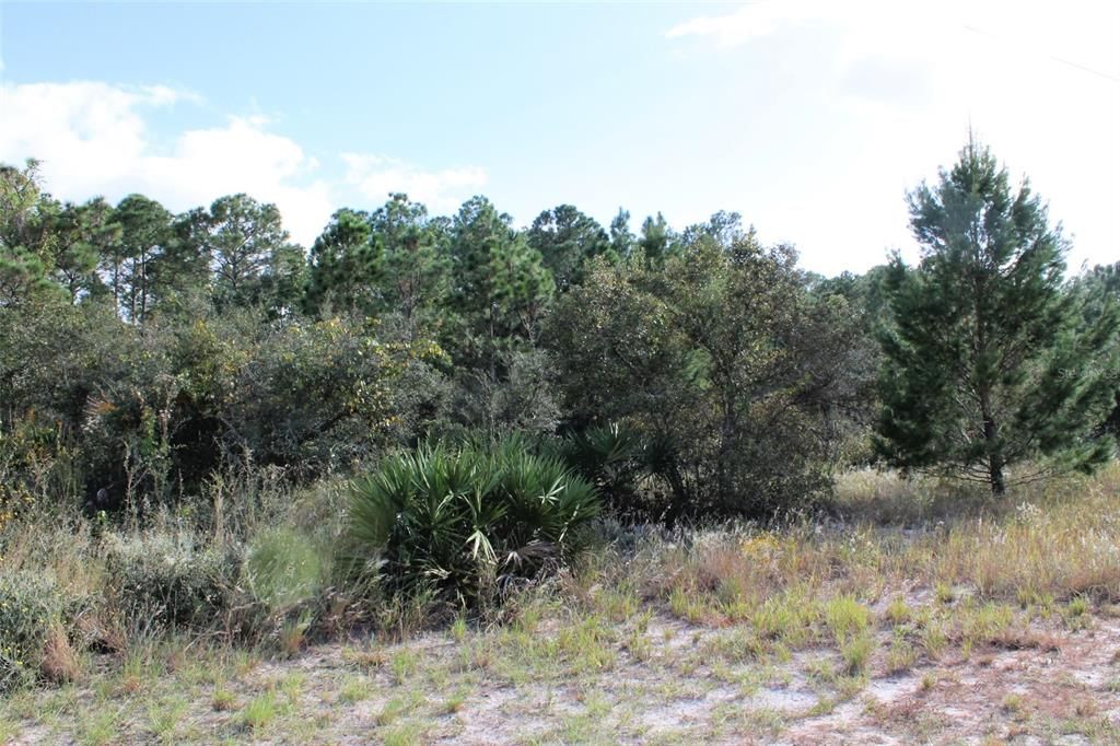 Recently Sold: $60,000 (6.89 acres)