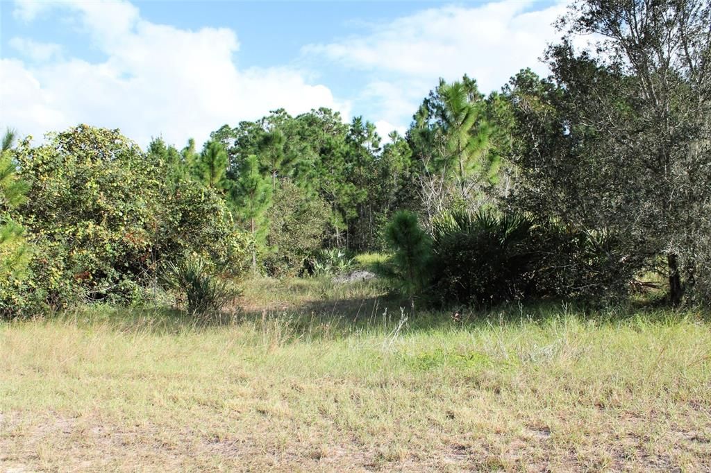 Recently Sold: $60,000 (6.89 acres)