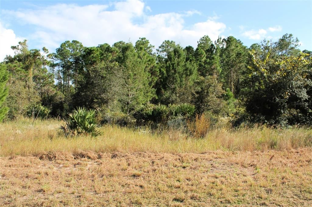 Recently Sold: $60,000 (6.89 acres)