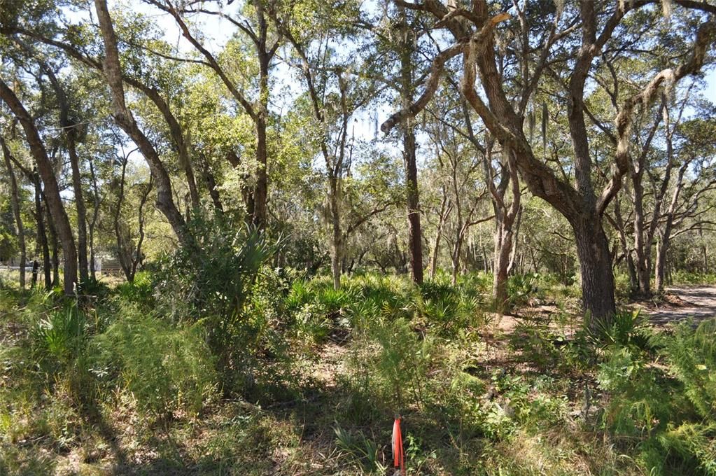 Recently Sold: $39,900 (1.16 acres)