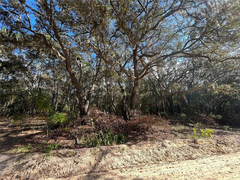 Recently Sold: $14,500 (1.07 acres)