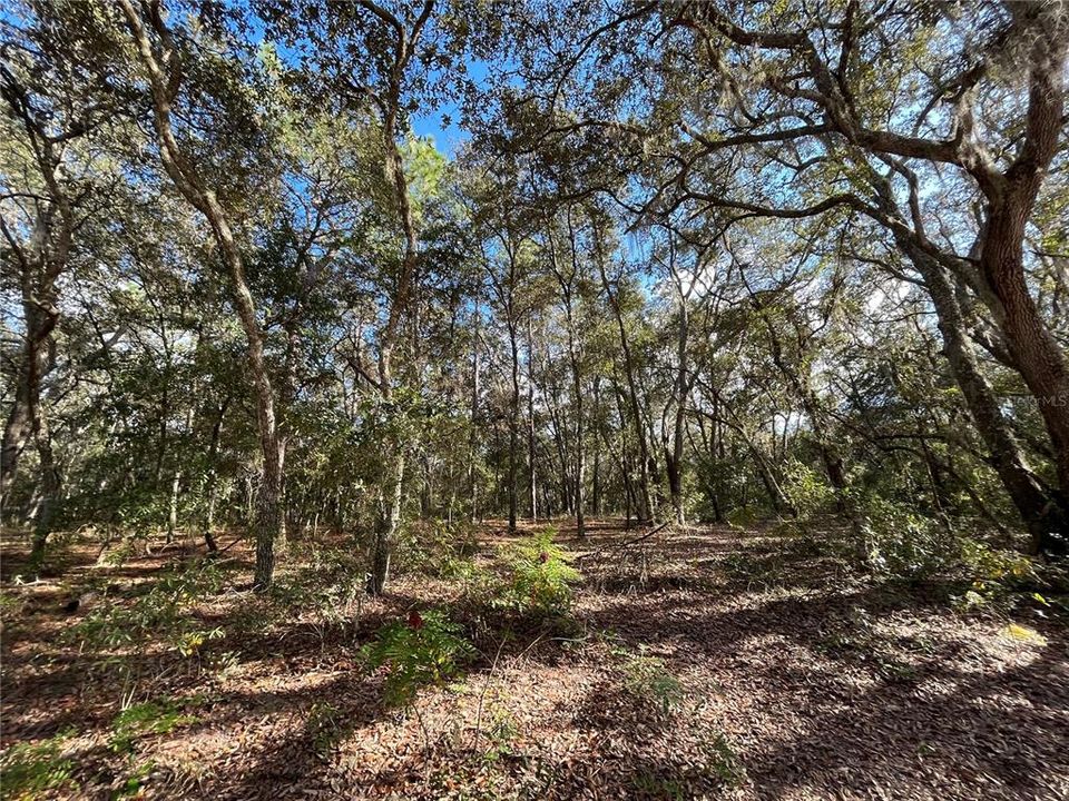 Recently Sold: $14,500 (1.07 acres)