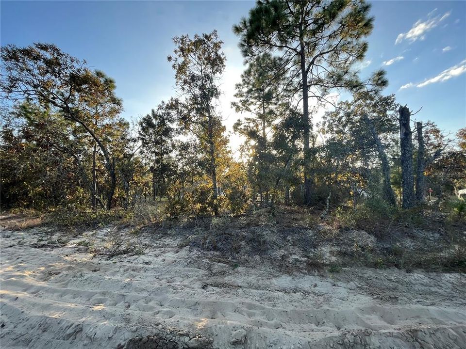 Active With Contract: $6,700 (0.36 acres)