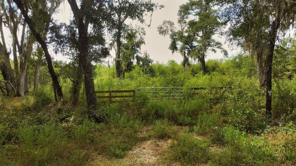 Active With Contract: $149,900 (10.53 acres)