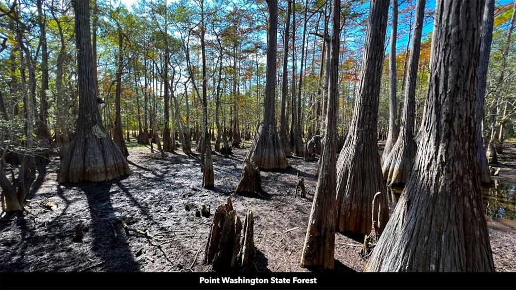 На продажу: $270,000 (10.42 acres)