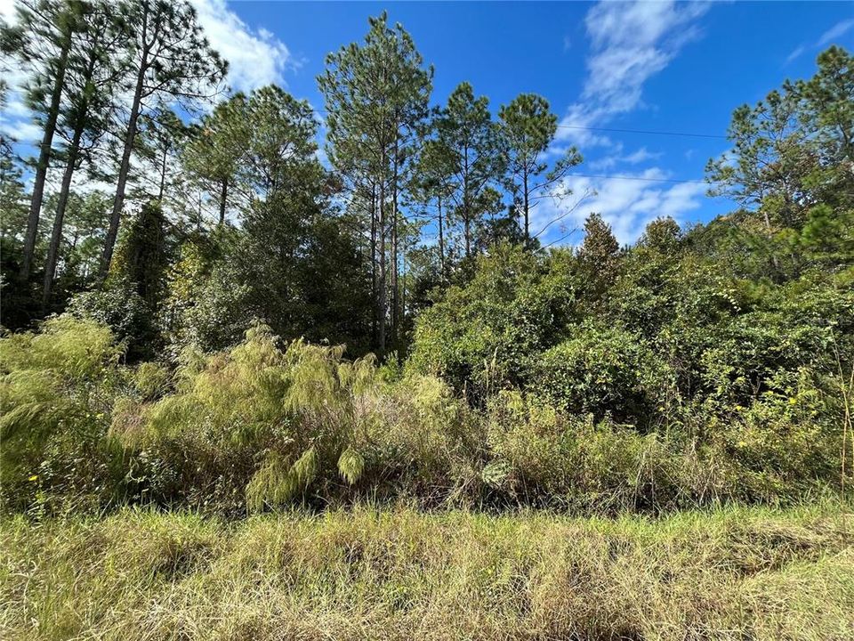 Recently Sold: $8,900 (1.13 acres)