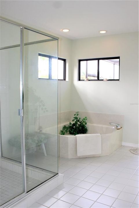 Master corner garden tub & shower