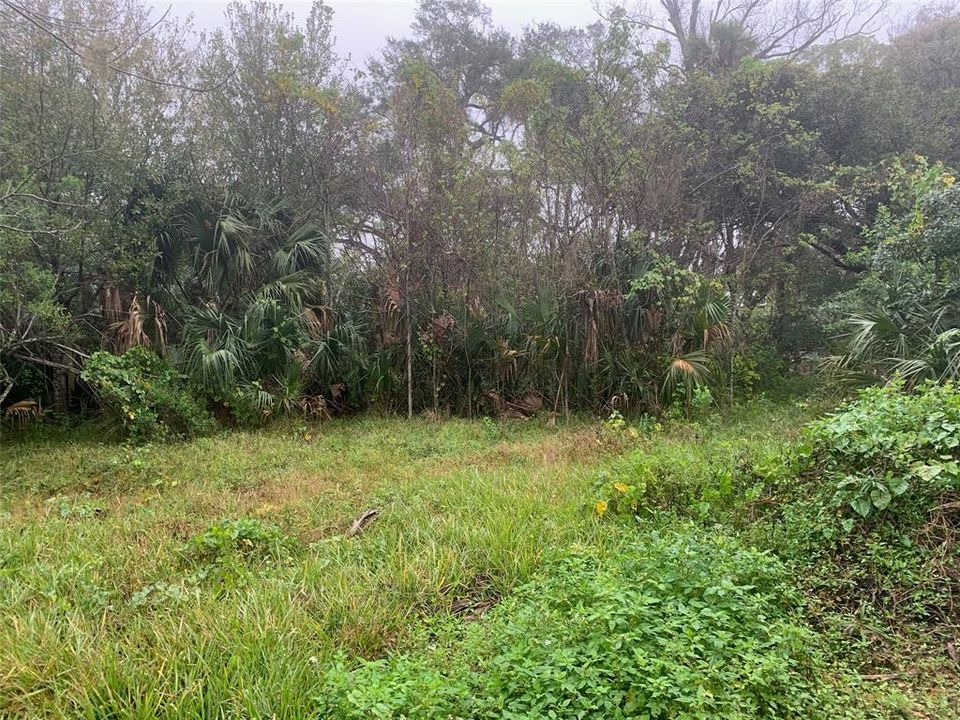 Vendido Recientemente: $9,000 (0.25 acres)