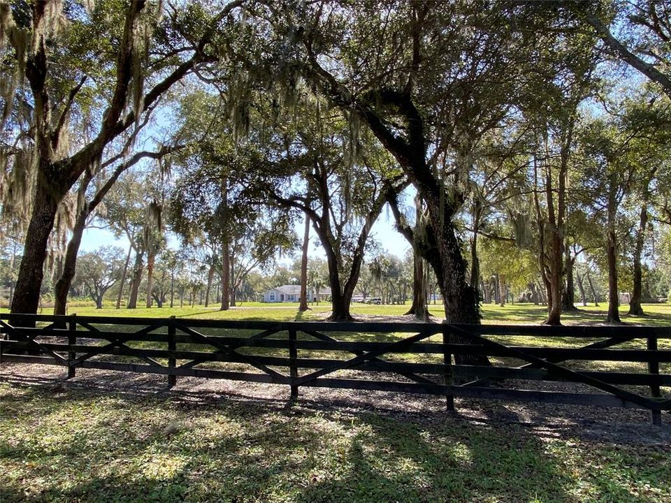 Fenced Acreage Estate with historic oaks