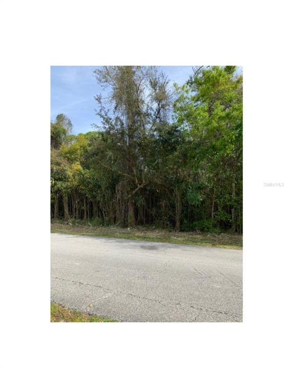 Vendido Recientemente: $48,000 (0.34 acres)