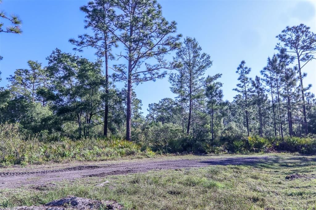 Vendido Recientemente: $171,000 (8.75 acres)