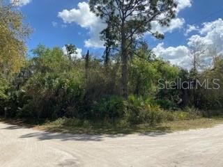 Recently Sold: $39,000 (0.98 acres)
