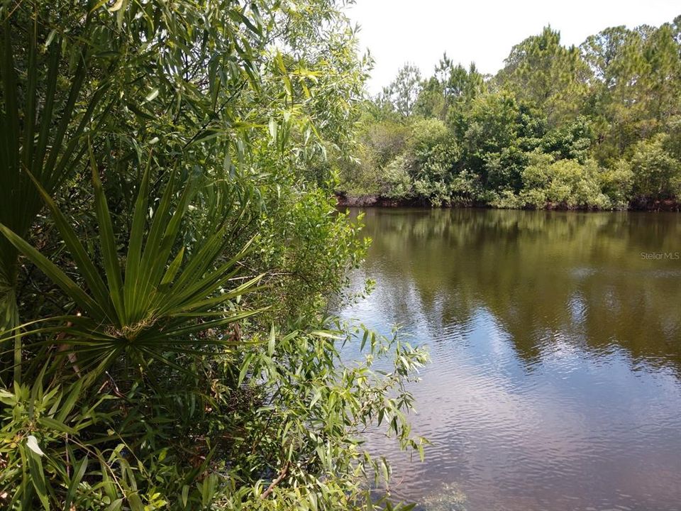 Недавно продано: $125,000 (10.00 acres)