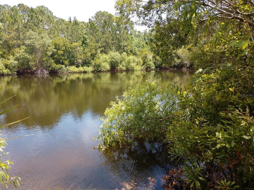 Недавно продано: $125,000 (10.00 acres)