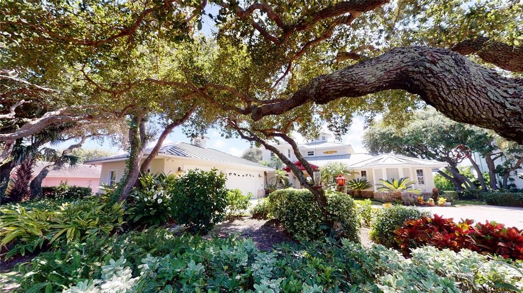 Lush landscaping surrounds this special home and provides a park like setting.