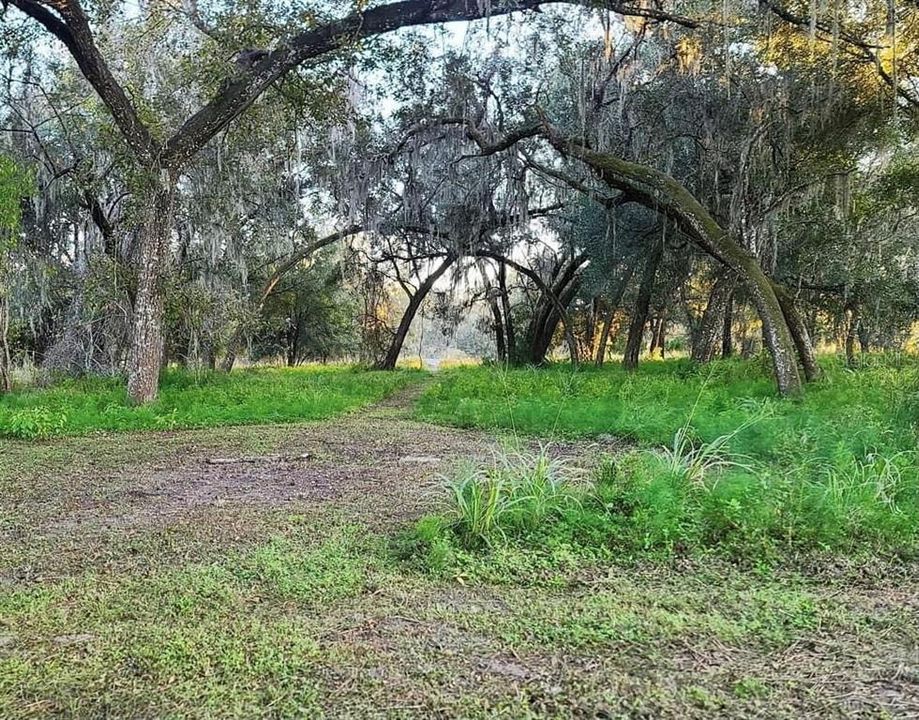 Recently Sold: $160,000 (11.00 acres)