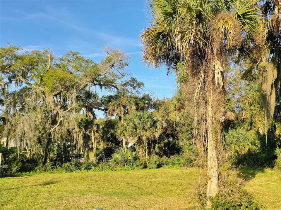 Vendido Recientemente: $89,999 (0.30 acres)