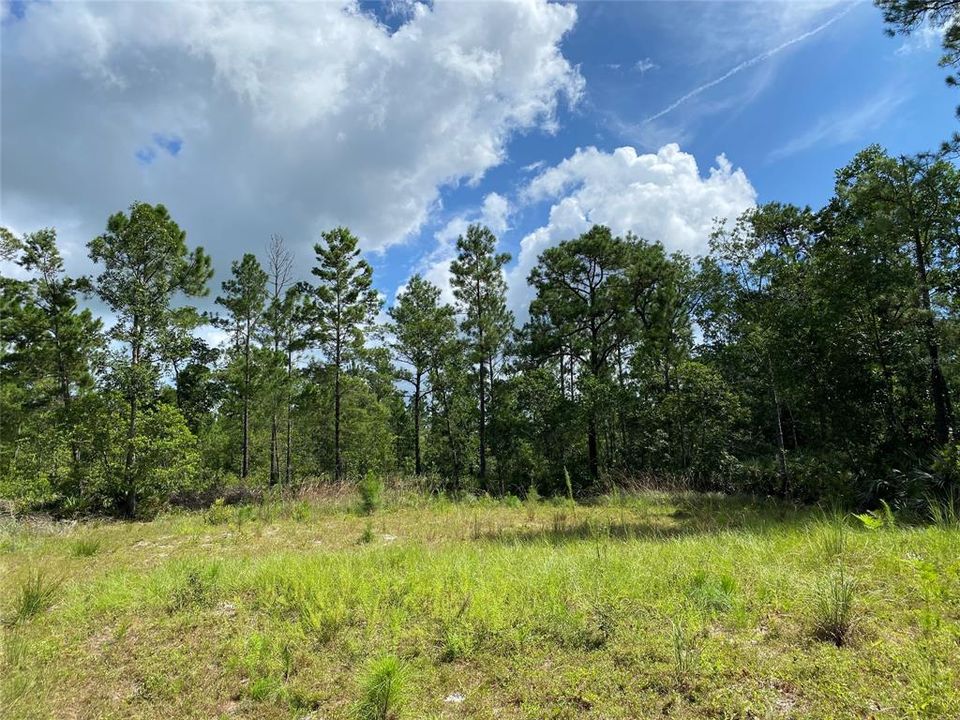 Recently Sold: $79,000 (2.50 acres)