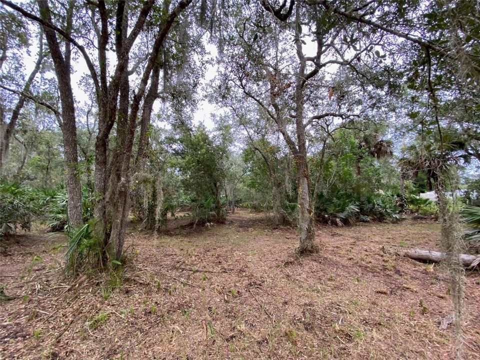 Vendido Recientemente: $150,000 (2.50 acres)