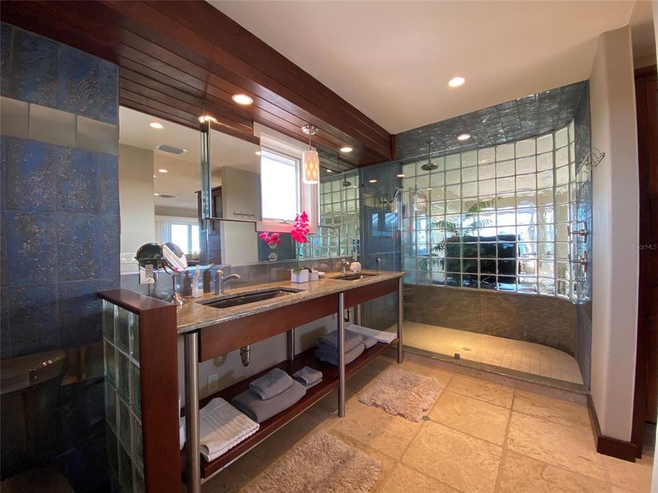 Guest Master Bathroom