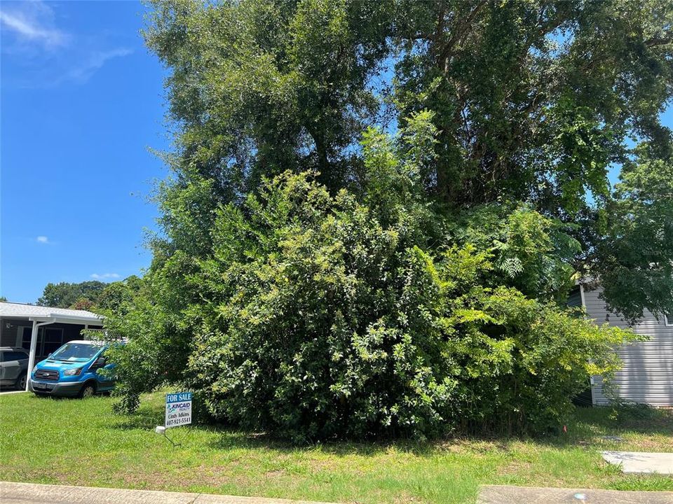 Vendido Recientemente: $24,900 (0.11 acres)