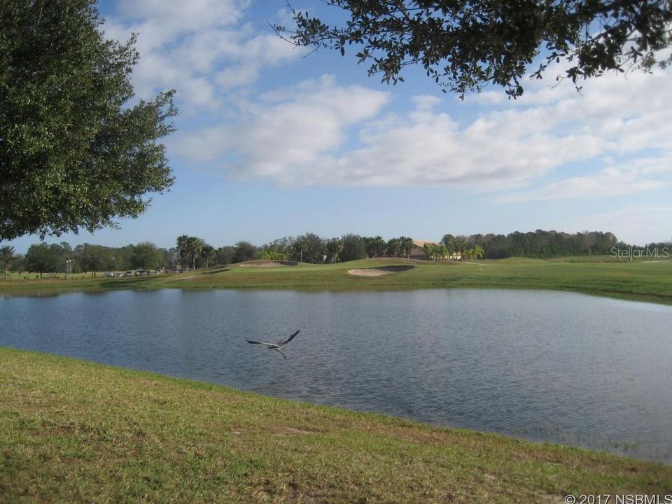 Course Lake View