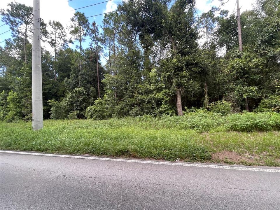 4.77 acre parcel on old Hwy 17